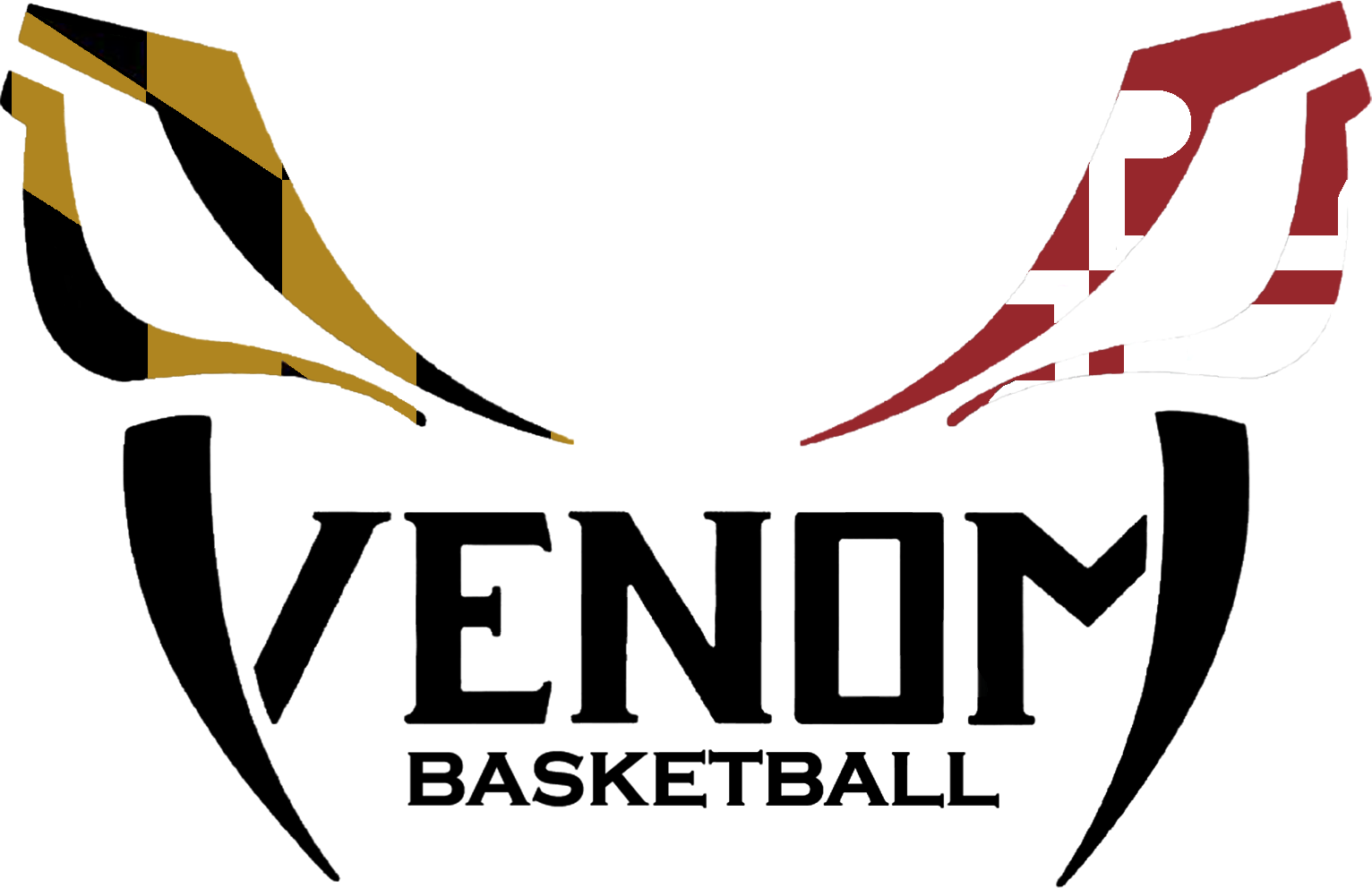 MD VENOM BASKETBALL | Squadlocker, image size:1532x992